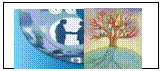 Text Box:   