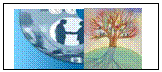 Text Box:   