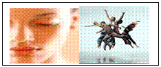 Text Box:   