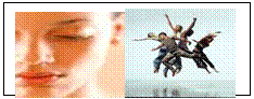 Text Box:   